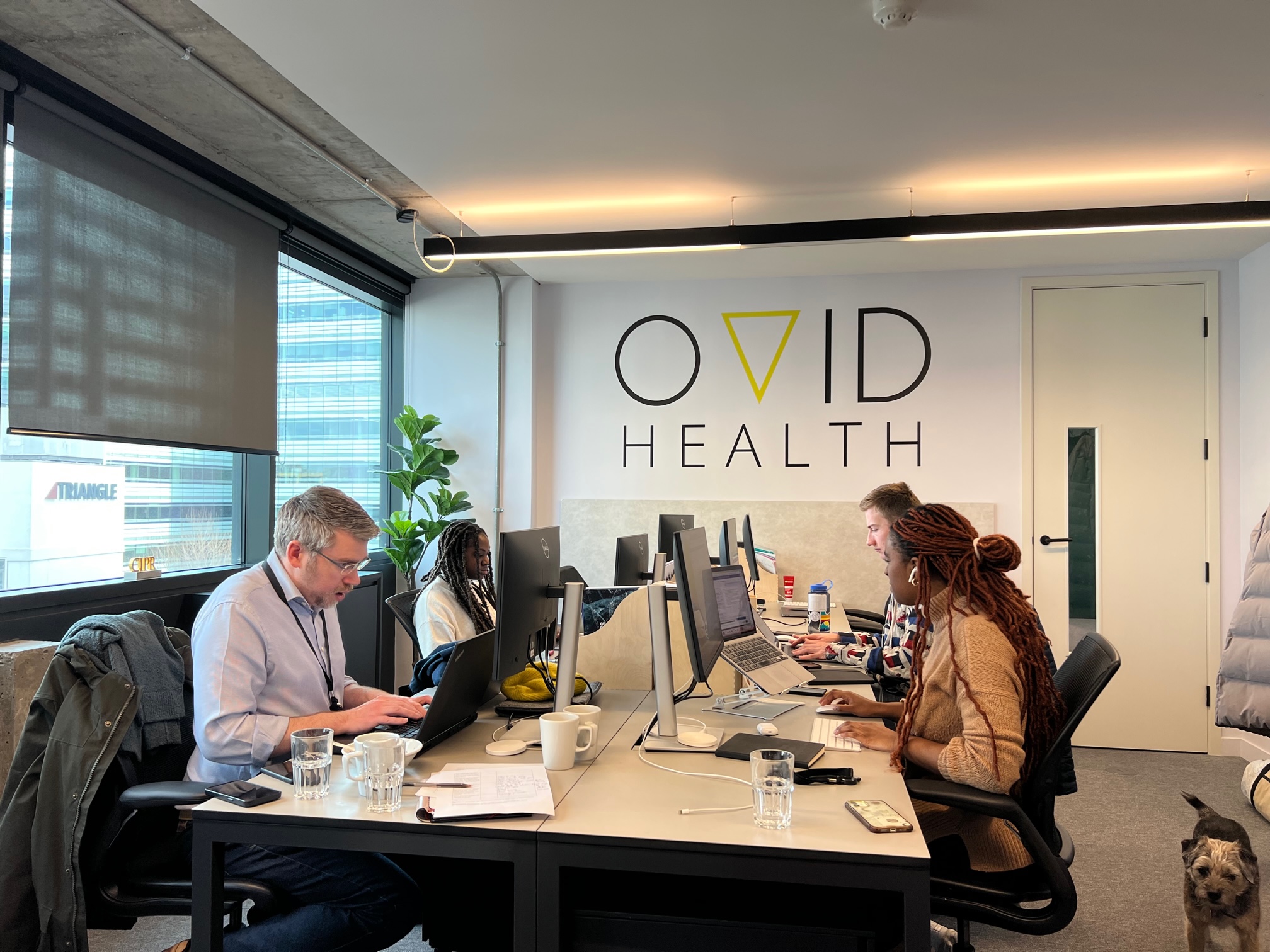 The OVID team at work
